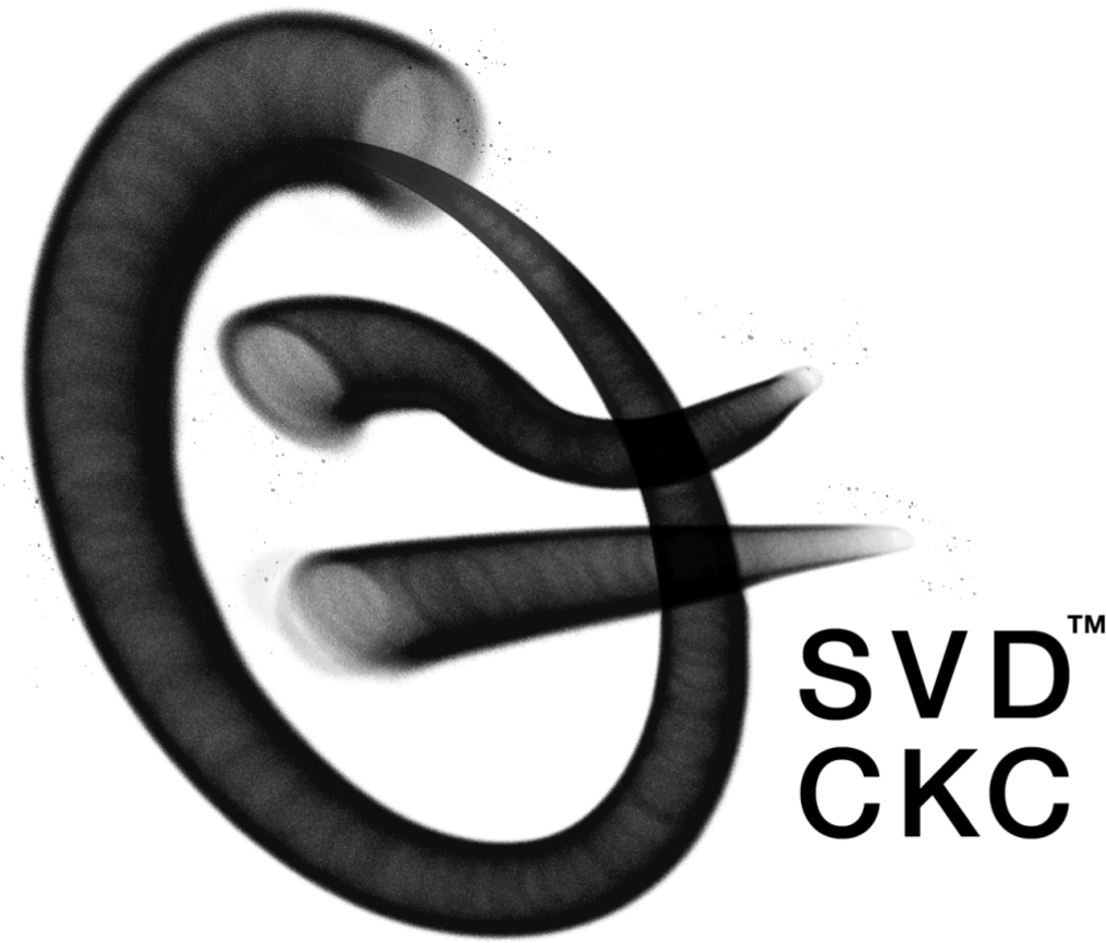 Discover SVD Cool Kids Club™